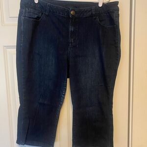 Venezia Jean Capris